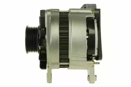 friesen-9036150