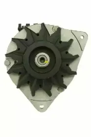 friesen-9036150