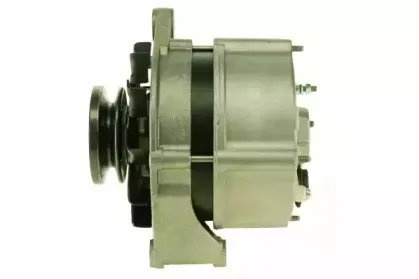 friesen-9036250