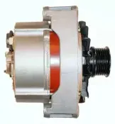friesen-9036350