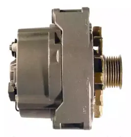friesen-9036390