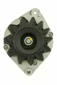 friesen-9036510