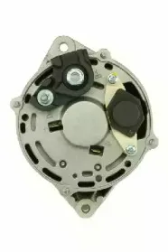 friesen-9036510