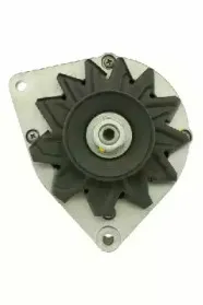 friesen-9036520