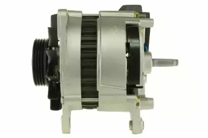 friesen-9036581