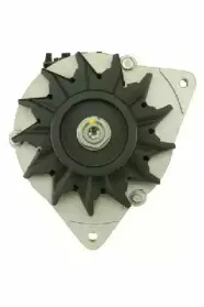 friesen-9036581