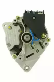 friesen-9036581