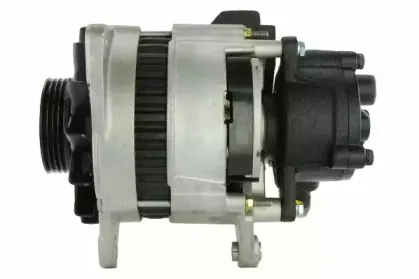 friesen-9036591