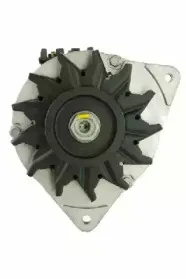 friesen-9036591