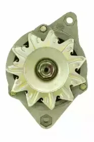 friesen-9036651