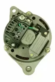 friesen-9036651