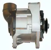 friesen-9036760