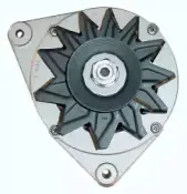 friesen-9036760