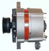 friesen-9036780