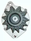 friesen-9036780