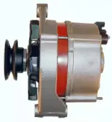friesen-9036790
