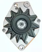 friesen-9036790