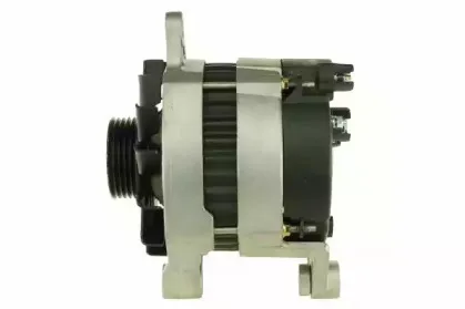 friesen-9036831
