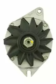 friesen-9036831