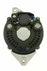 friesen-9036831