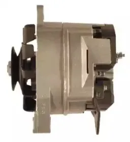 friesen-9036841