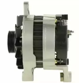 friesen-9036851
