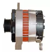 friesen-9036880
