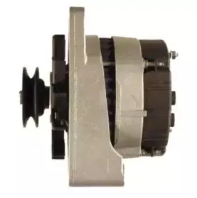 friesen-9036891
