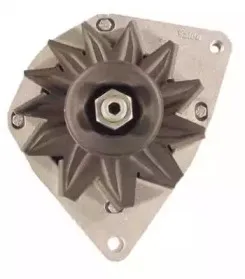 friesen-9036891