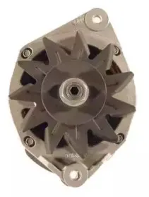 friesen-9036911