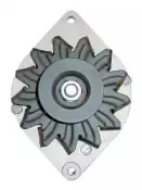 friesen-9036930