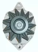 friesen-9036941