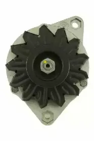 friesen-9037160