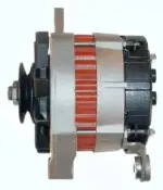 friesen-9037281