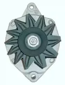 friesen-9037281