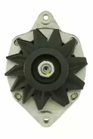 friesen-9037311