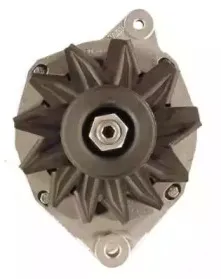 friesen-9037321