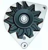 friesen-9037880