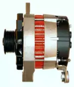 friesen-9037901