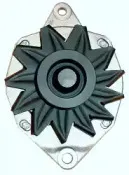 friesen-9037901