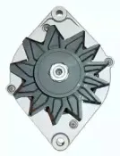 friesen-9038190