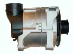 friesen-9038310