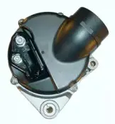 friesen-9038310