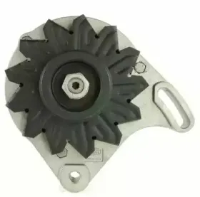 friesen-9038621