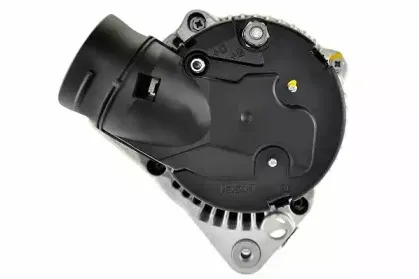 friesen-9038680