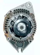 friesen-9038791