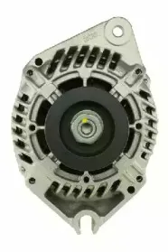 friesen-9038811