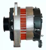 friesen-9038821