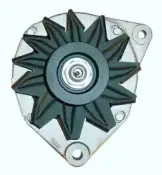 friesen-9038821