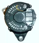 friesen-9038821